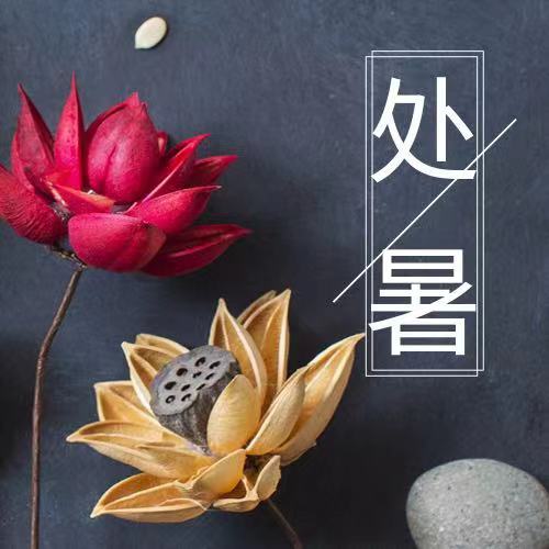 處暑|四時(shí)俱可喜，最好新秋時(shí)